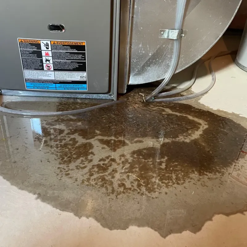 Appliance Leak Cleanup in Auburn, WA